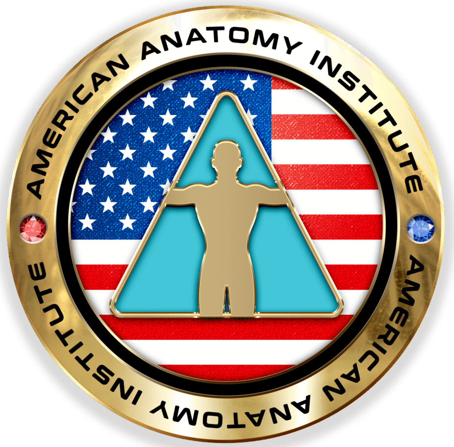American Anatomy Institute