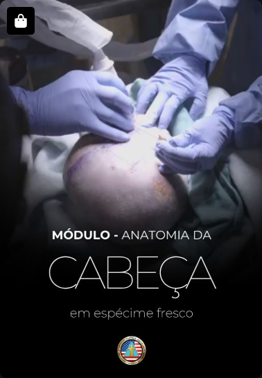 Anatomia da Cabeça