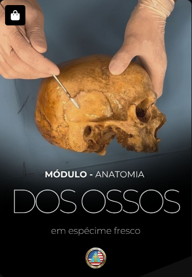 Anatomia dos Ossos