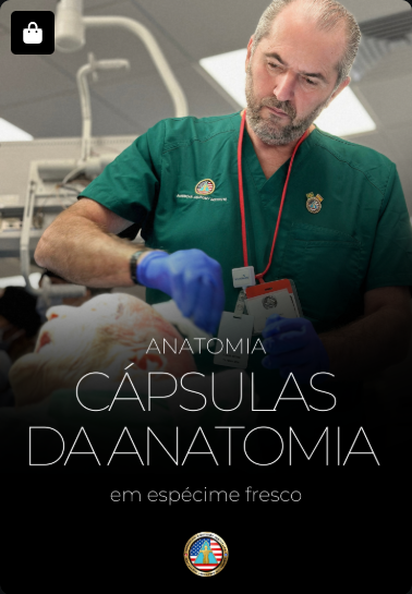 Cápsulas de Anatomia